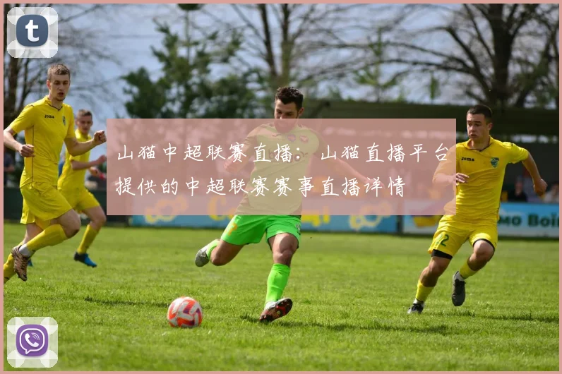山猫中超联赛直播：山猫直播平台提供的中超联赛赛事直播详情