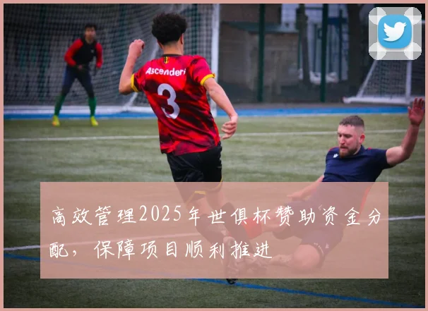 高效管理2025年世俱杯赞助资金分配，保障项目顺利推进