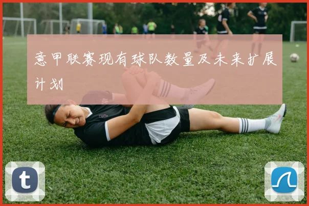 意甲联赛现有球队数量及未来扩展计划