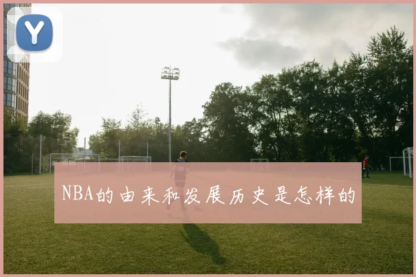 NBA的由来和发展历史是怎样的