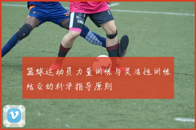 篮球运动员力量训练与灵活性训练结合的科学指导原则