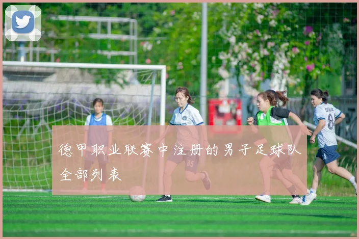 德甲职业联赛中注册的男子足球队全部列表