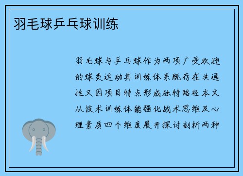 羽毛球乒乓球训练