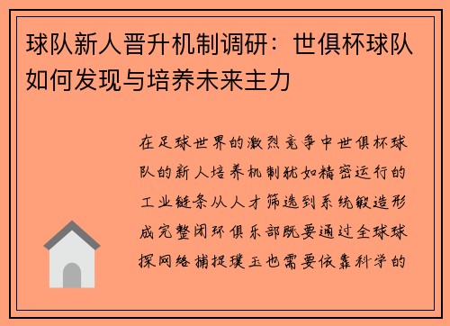 球队新人晋升机制调研:世俱杯球队如何发现与培养未来主力